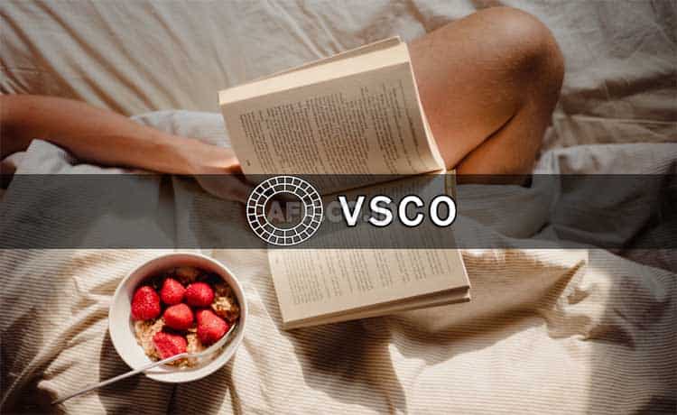 VSCO Mod Full Efek, Preset dan Sudah Terseting (Gratis)